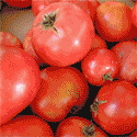 Farmers Market